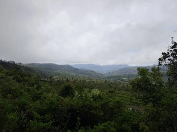 Farm & Agricultural Land