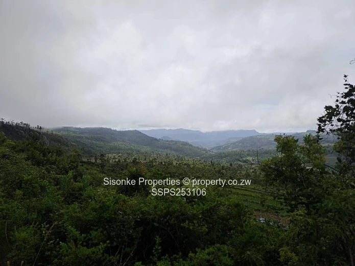  A rare opportunity to own a 5 hectares  piece of Nyanga
