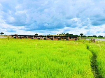 Farm & Agricultural Land