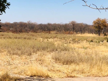 Farm & Agricultural Land