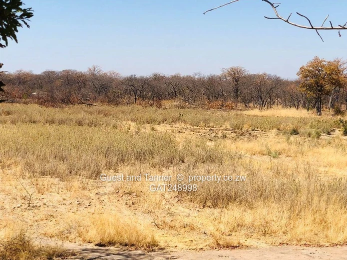 2 Prime Agricultural Plots for Sale – Ngezi Farming Area 