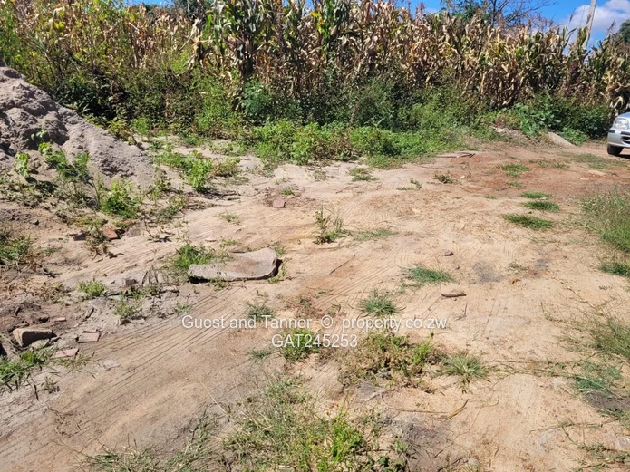 Stand For Sale  In Crowhill