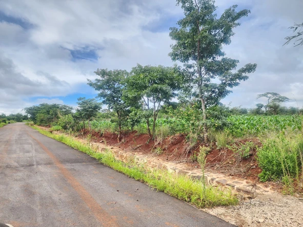 Stands & Residential Land