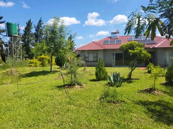 Stands & Residential Land