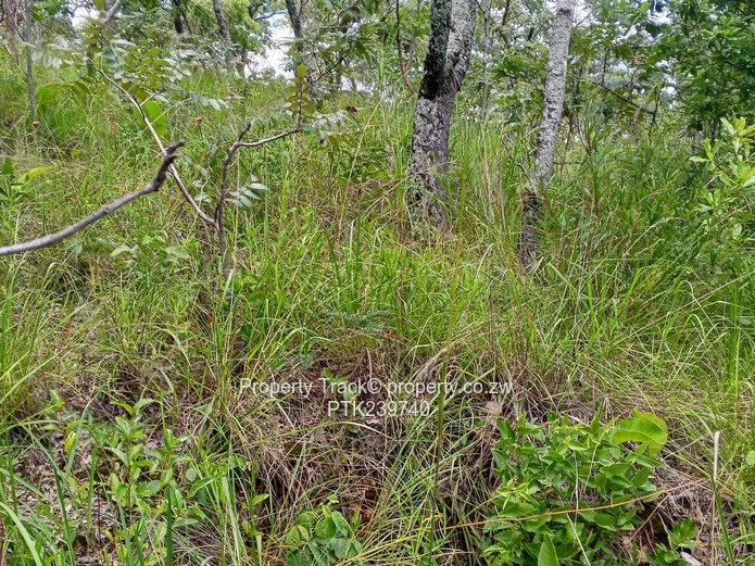 Excellently Positioned!