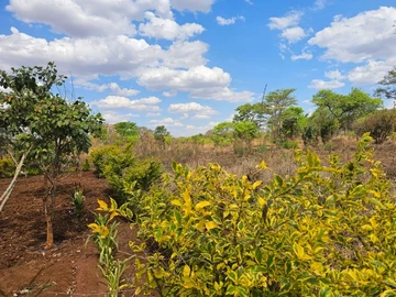 Commercial & Industrial Land