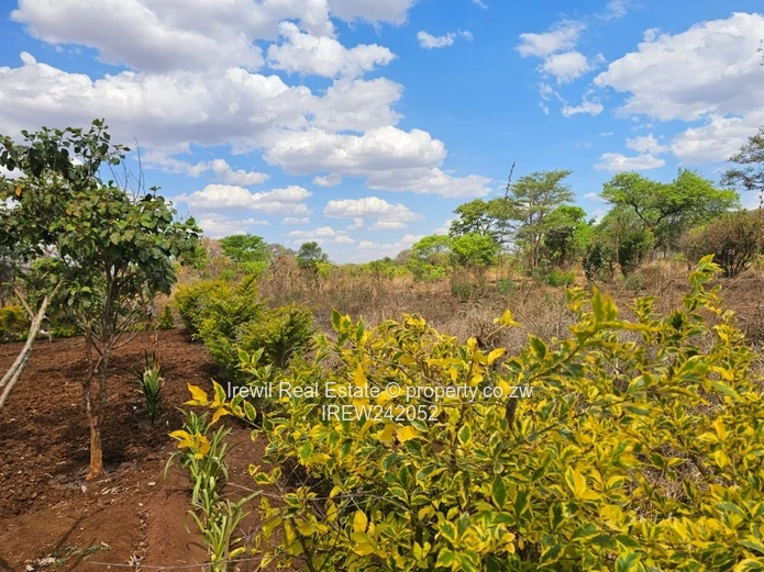 Kwekwe Commercial Land (Sole Mandate)