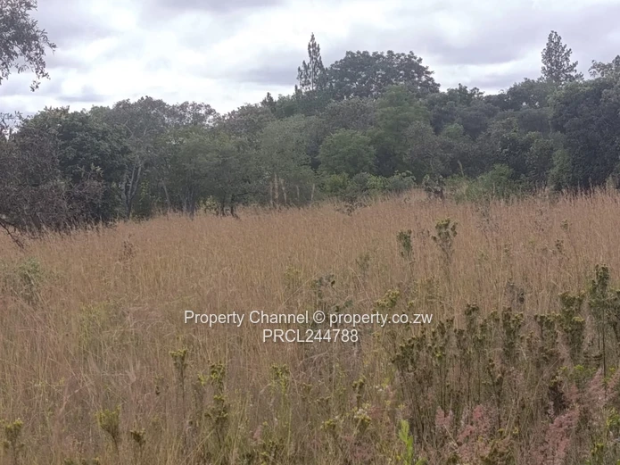 Prime Flat Agro Plot – Ideal for Farming, dwelling & Investment