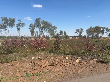 Stands & Residential Land