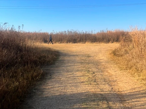 Land