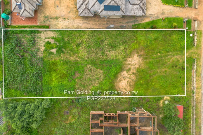 Arlington stand for sale