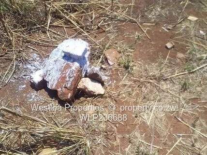 An opportunity not to miss