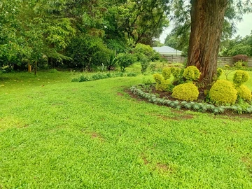 Stands & Residential Land