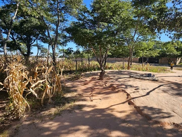 Stands & Residential Land