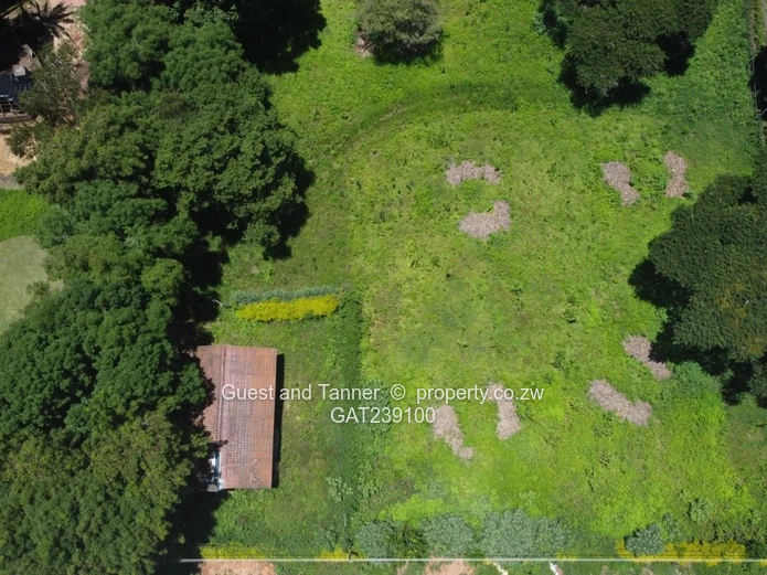 Helensvale Stand – Service Station Opportunity For Sale 