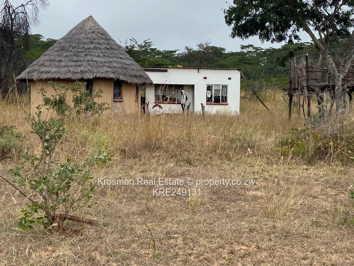 Plot For Sale