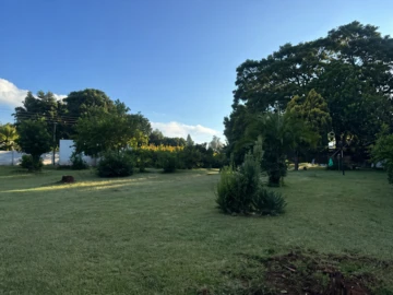 Stands & Residential Land