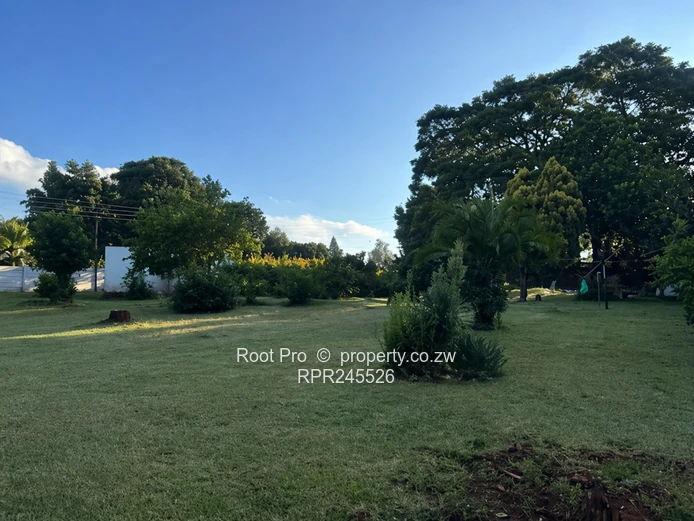 Greendale Stand for Sale 