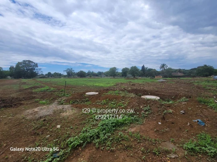 Marlborough Adylinn stands for sale