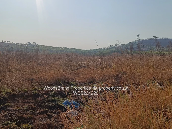 Tynwald South Land For Sale