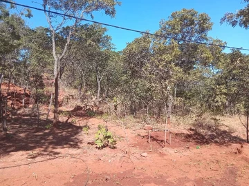 Farm & Agricultural Land