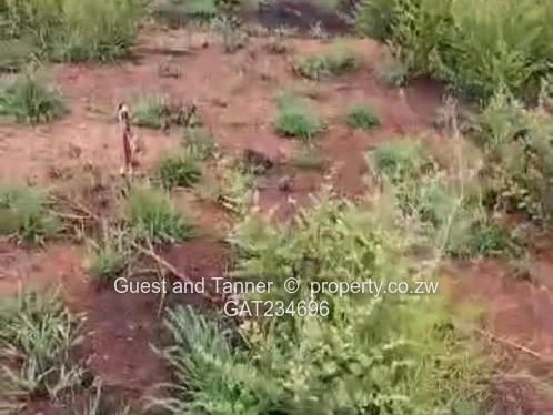 Ready to Build! Serviced Stand for Sale in Sunninghill near Bulawayo - Behind NUST (Isinga)