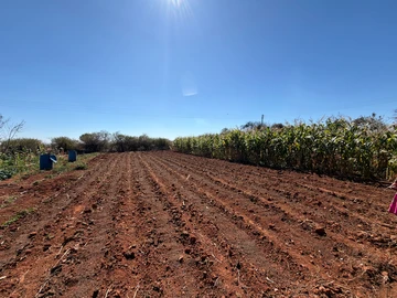 Farm & Agricultural Land
