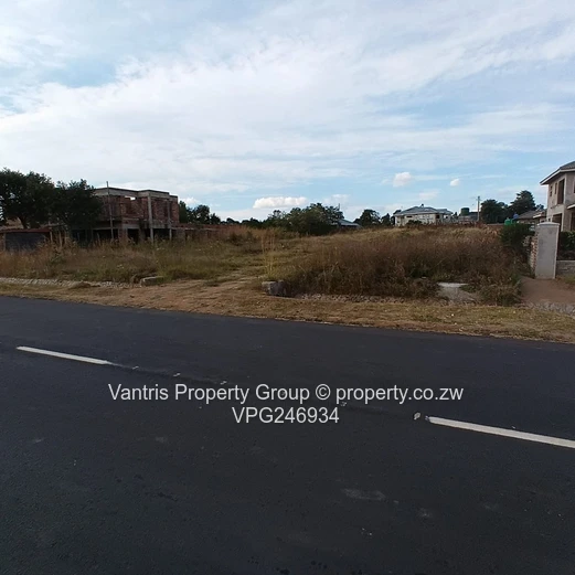 Arlington Estate Stand For Sale