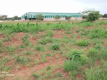 Commercial & Industrial Land
