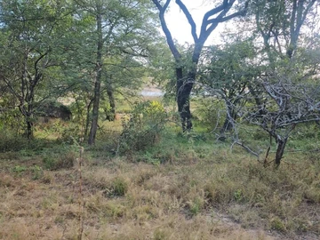 Farm & Agricultural Land