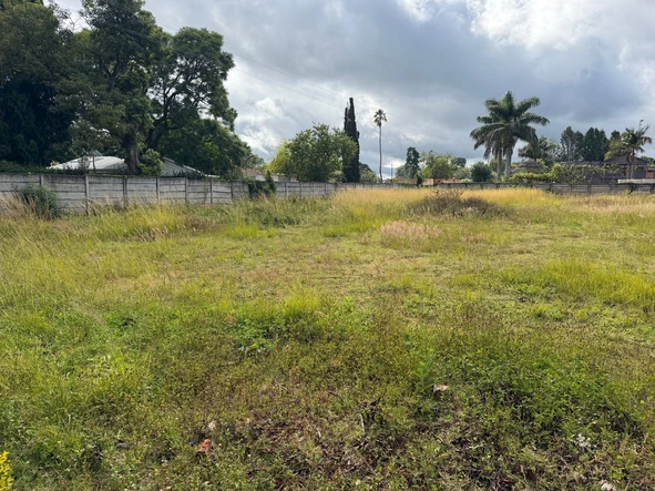 Stands & Residential Land