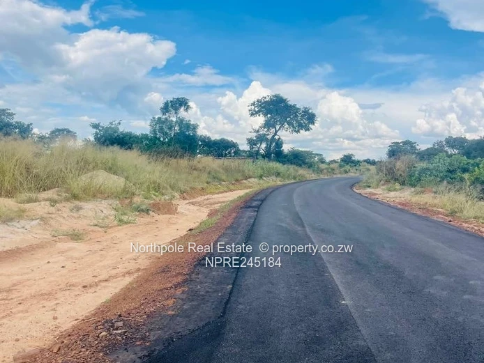 Rock Ridge Estate Stand For Sale