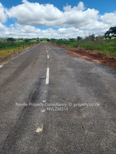 Kinsley Estate Borrowdale