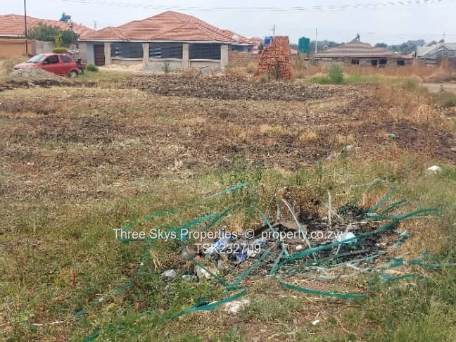 Maranatha Park Stand For Sale