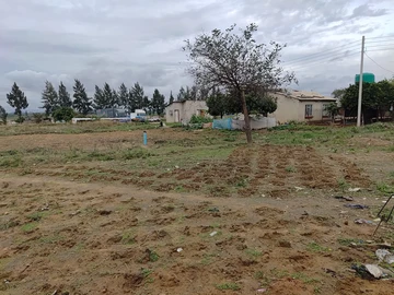 Commercial & Industrial Land