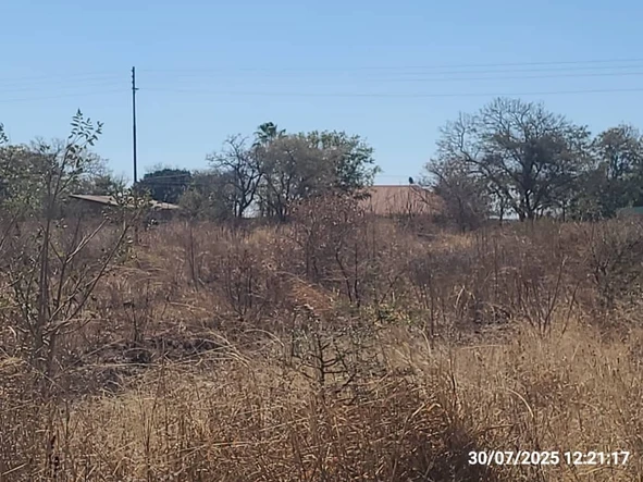 Stands & Residential Land