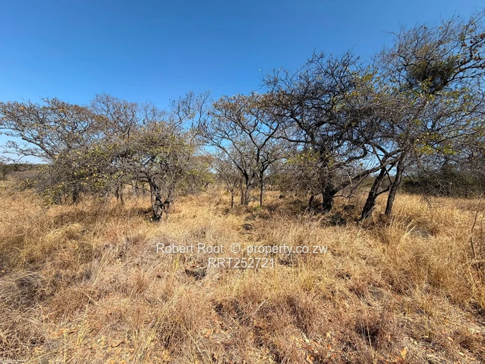 1.56ha at Darwendale with Lake View