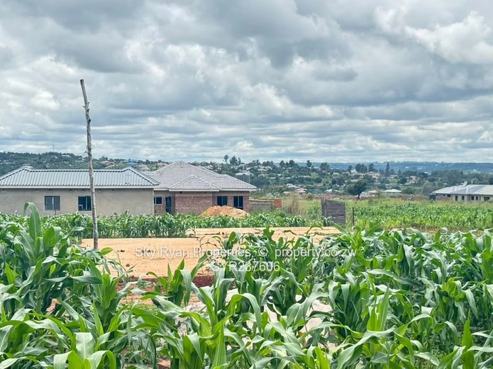 Crowhill Stand For Sale