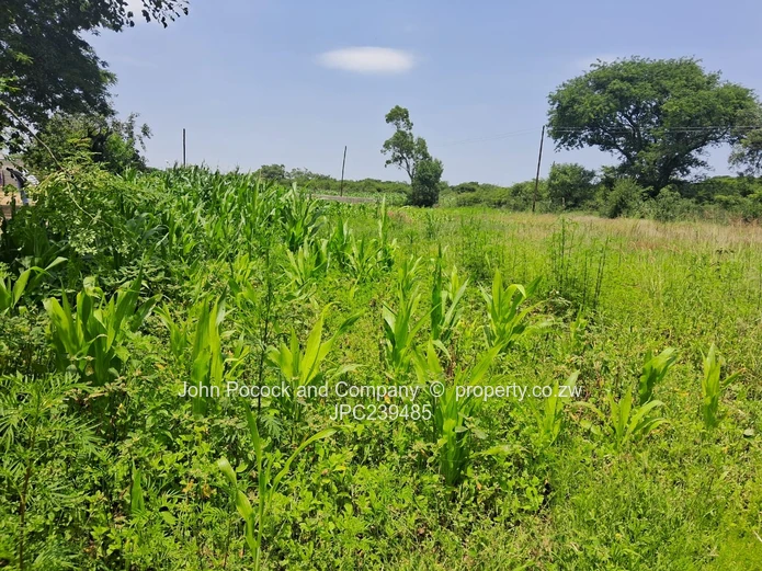 A Home Changes Everything