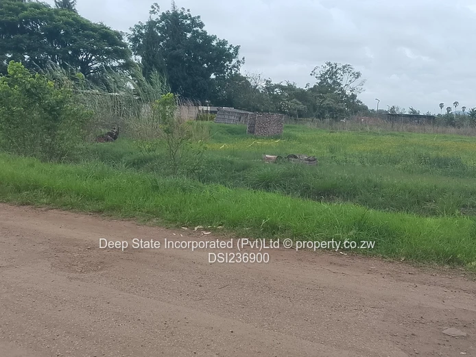 Bluff hill stand for sale 