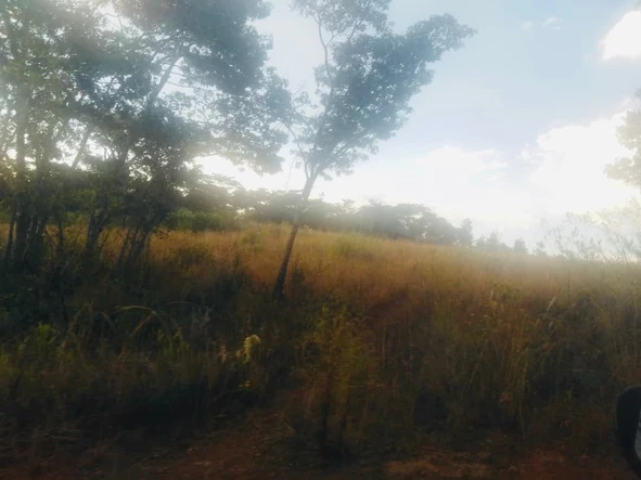 Farm & Agricultural Land