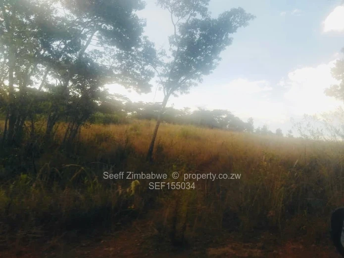 Experience The Nyanga Lifestyle, In Nature's Luxury