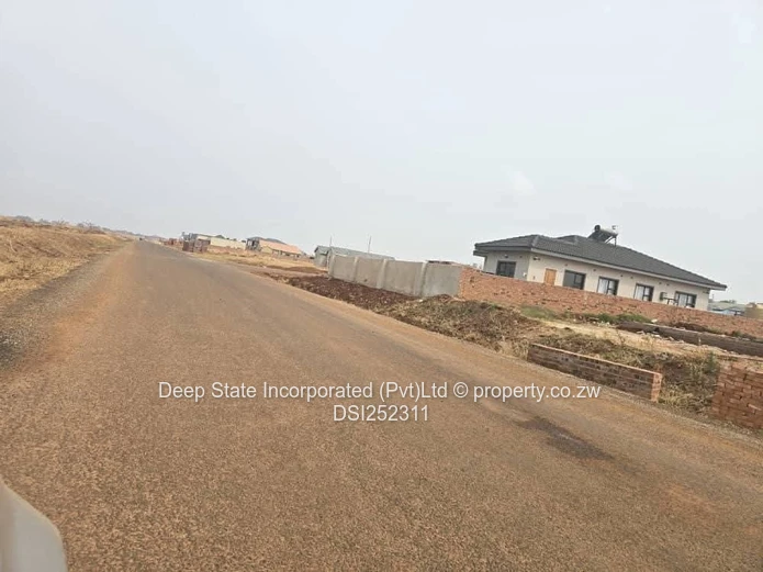 Nyeredzi stand for sale 