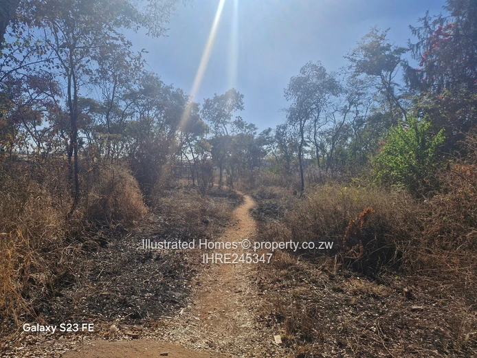 41ha Crowhill Views - Subdividable Land with Main Road Frontage