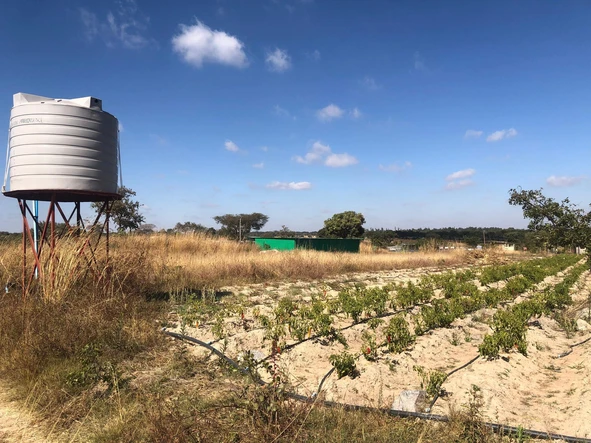 Farm & Agricultural Land