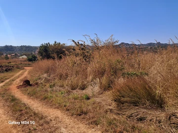 Stands & Residential Land