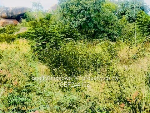 Hatfield 3,141m² Subdivision with Title Deeds land 