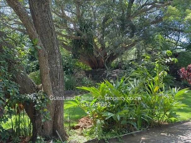 Classic Hillside 4-Bed Family Home for Sale!