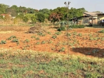 Stands & Residential Land