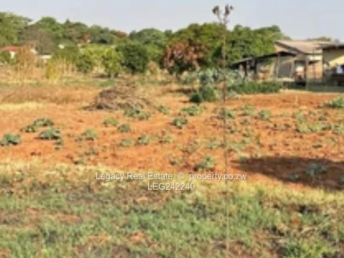Orange Grove  Land with Incomplete House and a Cottage – Chinhoyi | 9,900m² Stand